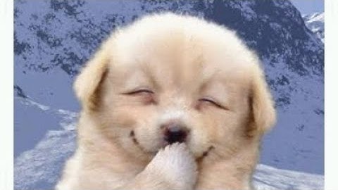 Last time I change the intro;)...........I Promise tee hee