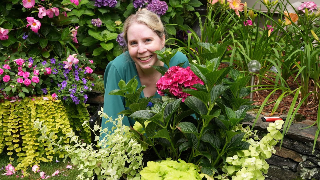 Proven Winners All Dressed Up Ball Gown Heuchera Planter #2