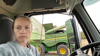 Everything is falling apart - very fitting for day 13 of harvest 