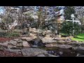 LIVE North Carolina Night Bird Cam 🌙 | Peaceful Pond &amp; Relaxing Nature Sounds 24/7