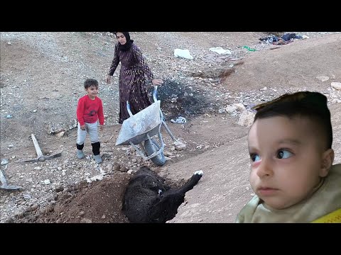 Nomadic life, dog dies after US attack on Iran