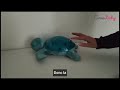 Tranquil turtle de chez cloud b