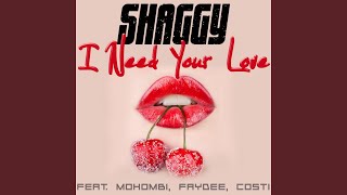 Video thumbnail of "Shaggy - I Need Your Love"