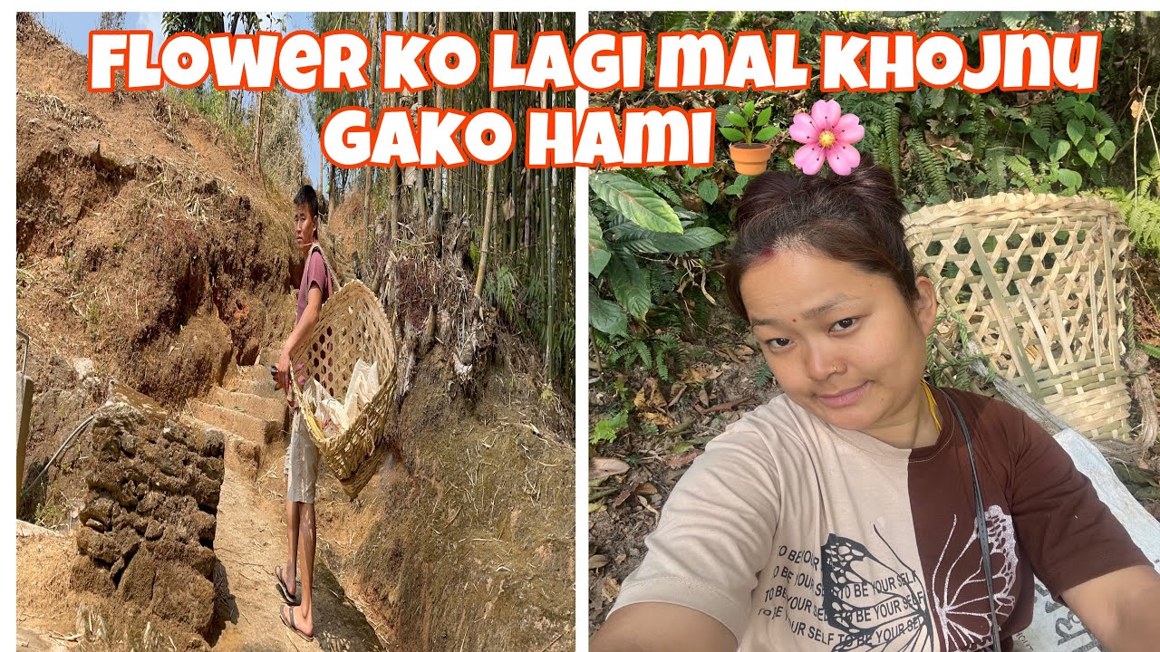 My Nursery garden 🪴 Husband wife mal khojnu gako🥰 for orchids and caladium plants🌱 #husband #explore