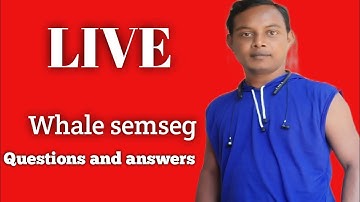 Whale Semseg Questions And Answer Live