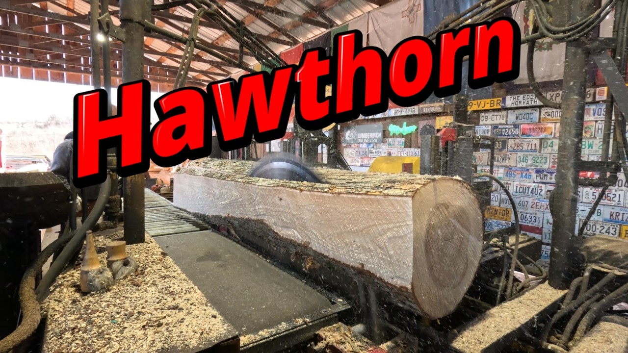 Sawing Hawthorn trailer decking # 833