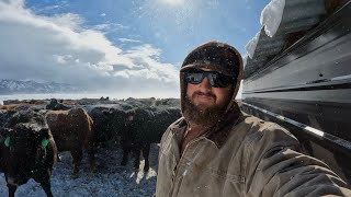 Enduring Another Winter Storm On The Ranch
