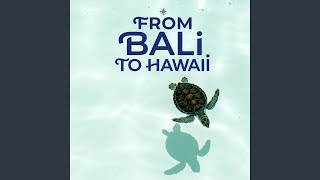 From Bali to Hawaii