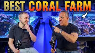 Inside Europe's MASSIVE Coral Farm | White Corals Facility Tour!