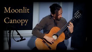 Moonlit Canopy [studio playthrough]
