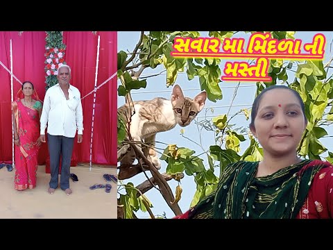પાણી વગર જાળવા સુકાઈ ગયા 🥺 ભુકા નો કેટલો ઉપાડ થાય 😱#village #vlog 