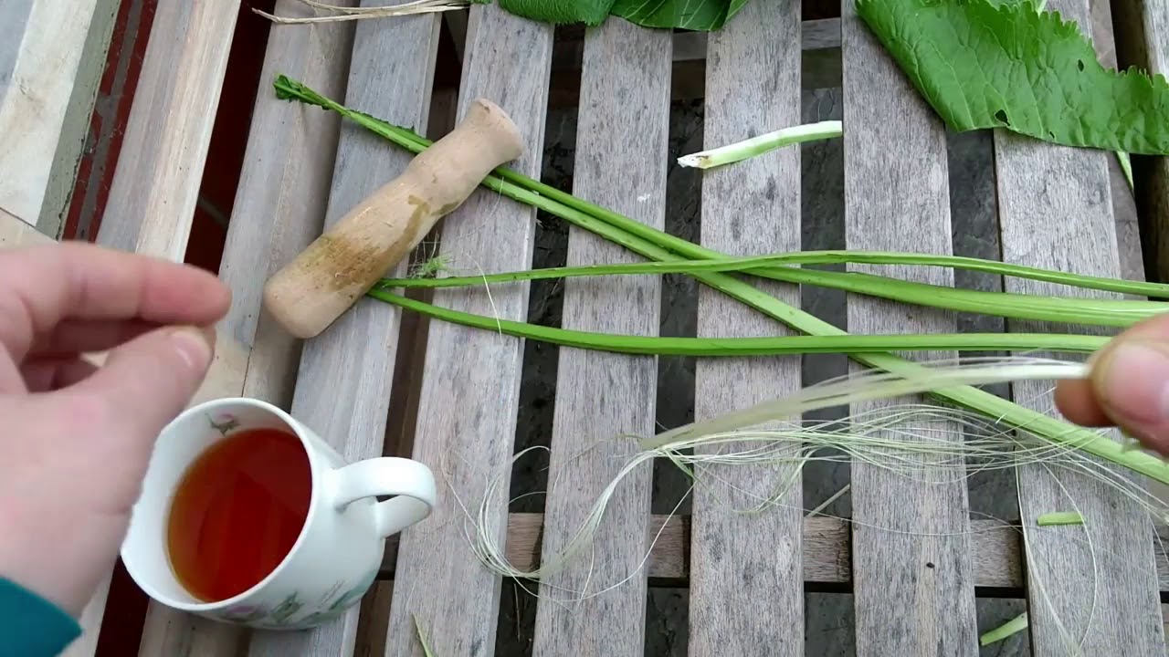 Изготовление натуральной веревки из хрена