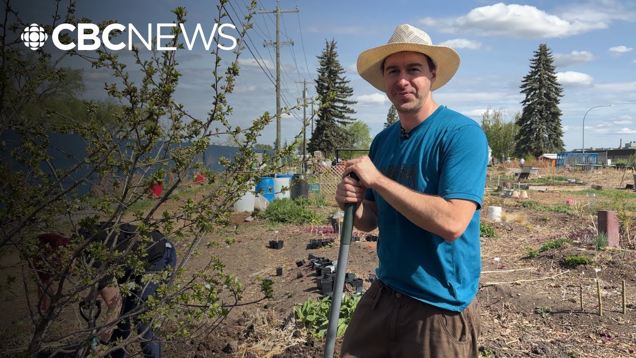 Edmonton urban farmers relocate 400 trees in anticipation of move
