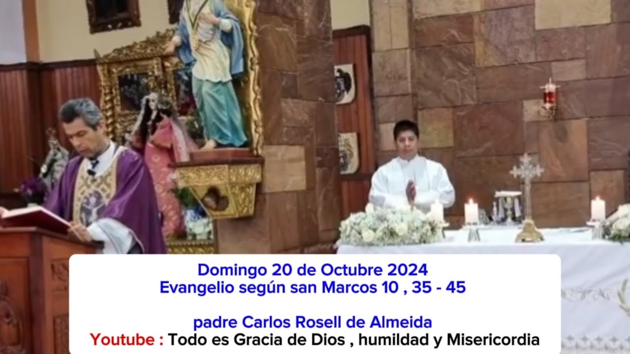 Evangelio Domingo 20 de Octubre 2024 - padre Carlos Rosell - YouTube