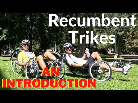 Introduction To The Recumbent Trike: Types, Wheel Sizes, Seat Types, Brake Types & Potential Issues