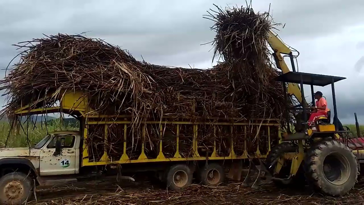 23 de dezembro de 2025