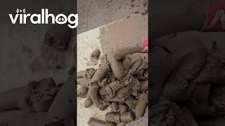 Clearing Out The Pipes || Viralhog