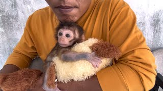 Handsome Coco Just Finished Taking A Shower