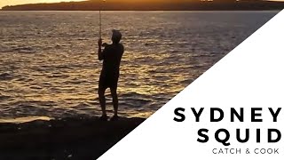 Awesome Squid in Sydney - Catch & Cook