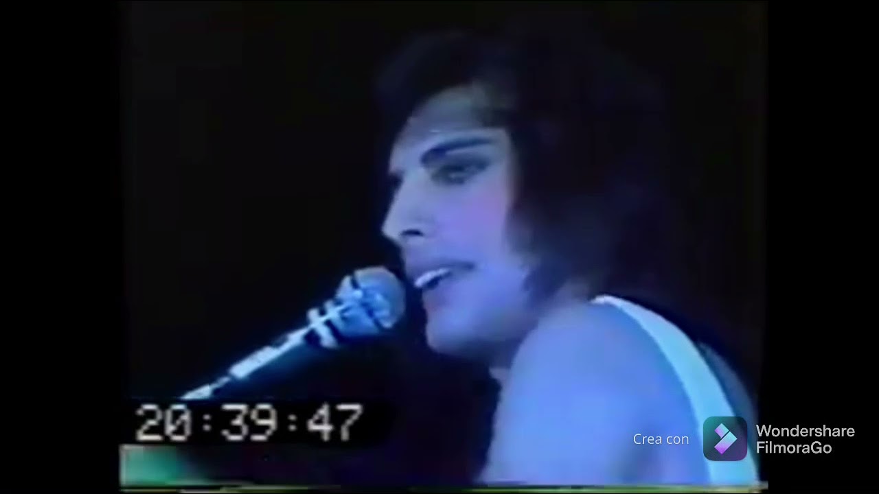 Collection of Freddie Mercury 