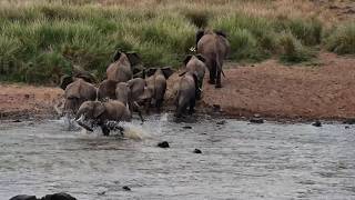 A Different Kind of River Crossing
