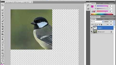 Layer Via Copy And Layer Via Cut in Photoshop CS5 Video Tutorials in Hindi www.lsoit.com