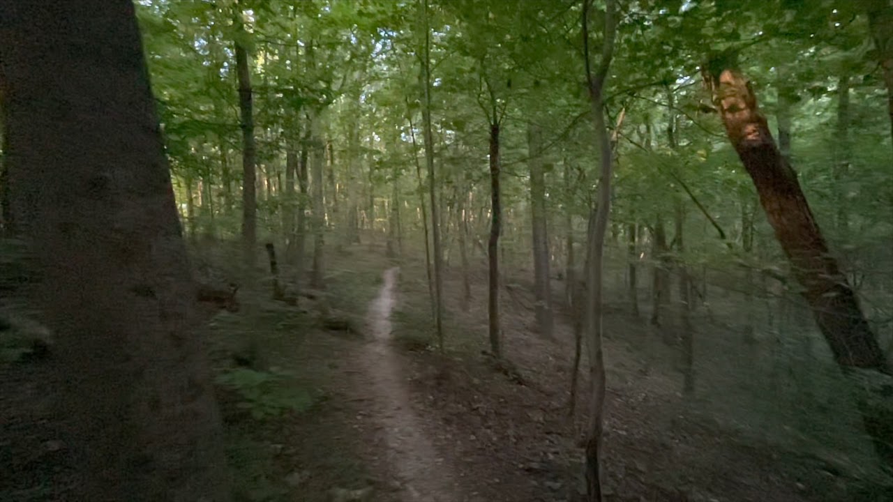 Laurel Woods Trail LOOP in Beaman Park in 4K | Nashville, Tennessee