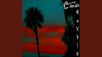 Sandy Shores