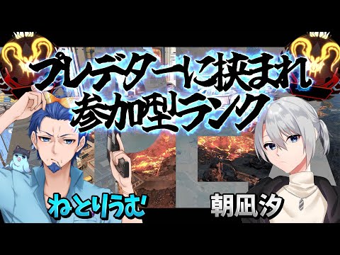 【#APEX/参加型】プレデターVtuberに挟まれランク　プラチナも大歓迎!!【ねとりうむ / Vtuber】ダイヤ帯