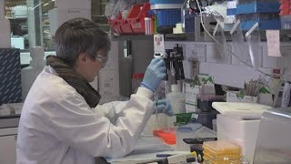 Volunteers to participate in a COVID-19 vaccine trial