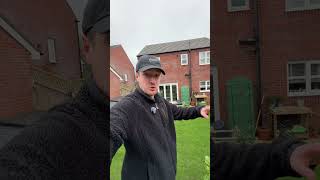 Why I wont be RENOVATING this LAWN #lawn #lawncare