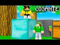 MINECRAFT MA TUTTI I BLOCCHI che piazzi SONO GIGANTI