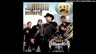 Voz de Mando - Muchacho De Campo (Audio)