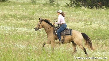 Barbies Bobcat - fun evening ride! - ValleyViewRanch.net