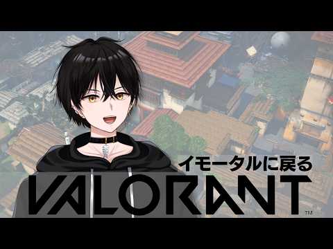 アセ3あるな　#VALORANT #ヴァロラント #Vtuberの配信サムネイル
