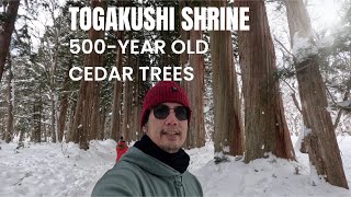 TOGAKUSHI OKUSHA SHRINE (MAIN SHRINE) | HIKING TO SEE THE AVENUE OF 400 YEAR OLD CEDAR TREES | DIY