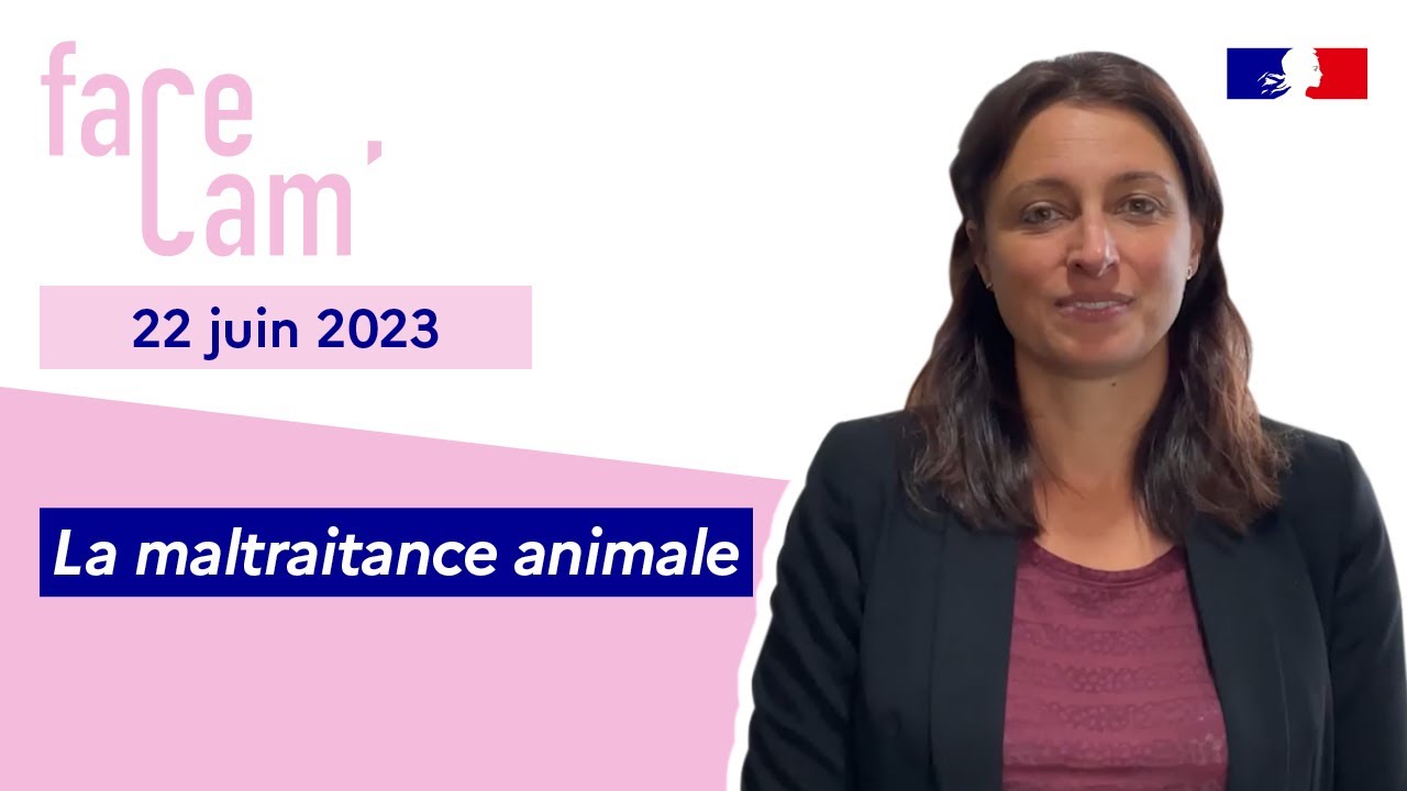 La maltraitance animale