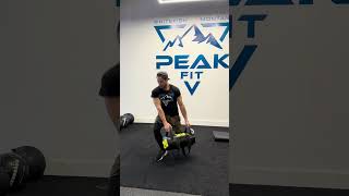 Alternating Sandbag Low Woodchop w/ Reverse Lunge