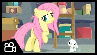 Clip Fluttershy Realizes That She And Angel Need Help She Talks To Angel Mlp Fim S9 Hd