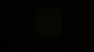 David Baszucki should be chief