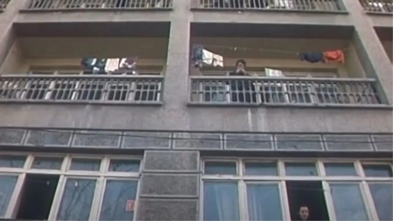 Život u studentskom gradu, Beograd (1981)