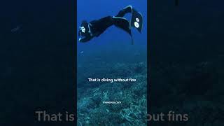 Whats Missing From Your Dive Kit?