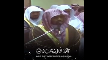 الشيخ ياسر الدوسري || آيات من سورة الرحمن