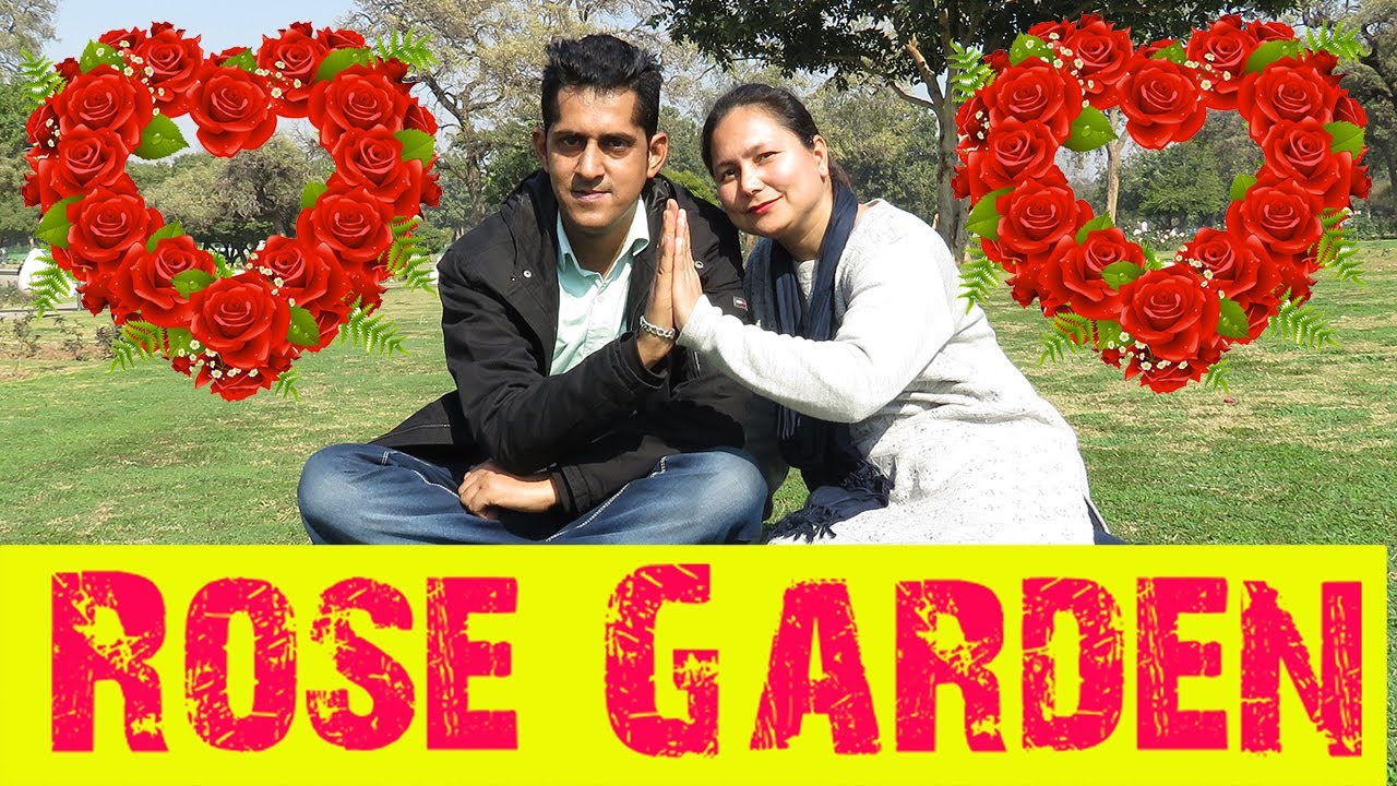 Rose garden Chandigarh. Rose Garden 2022. A Visit to Rose garden. YouTube