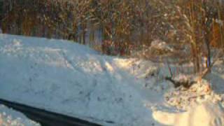 road gap and backflip