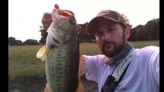 Fishing Clips of the week