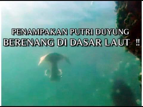 8300 Koleksi Foto Penampakan Putri Duyung Cantik Asli HD