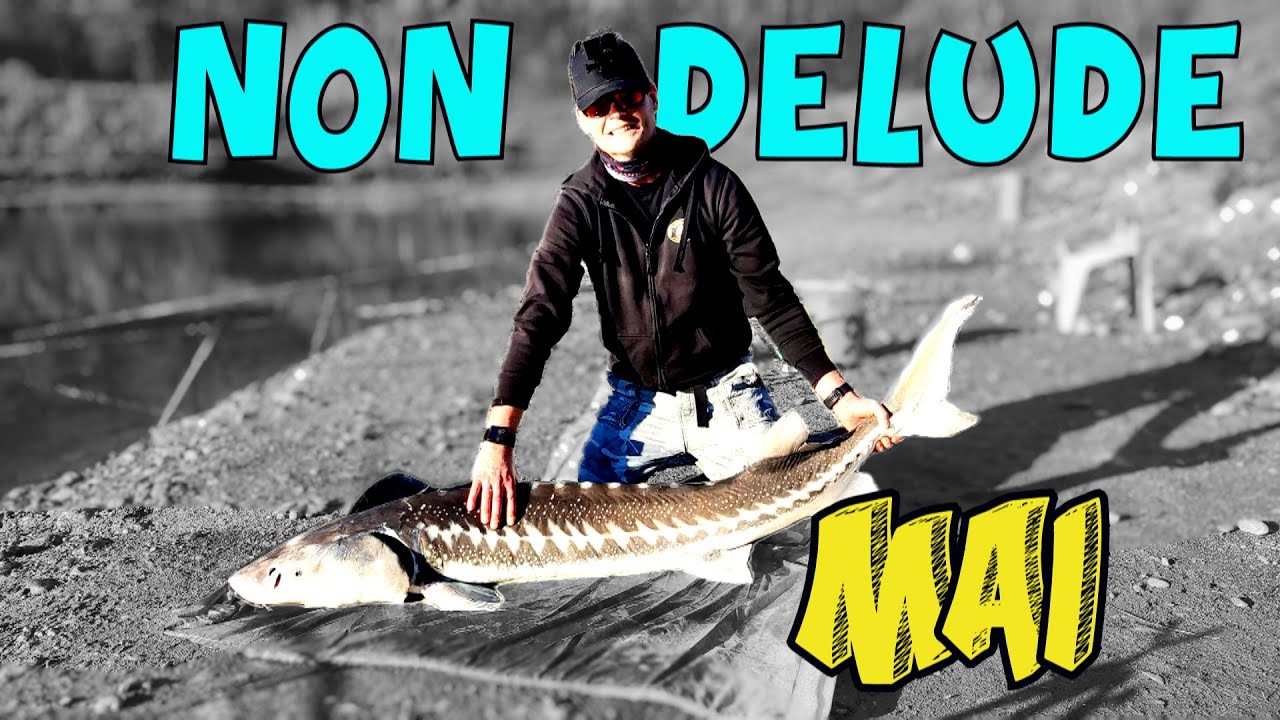 PESCA ALLO STORIONE : NON DELUDE MAI