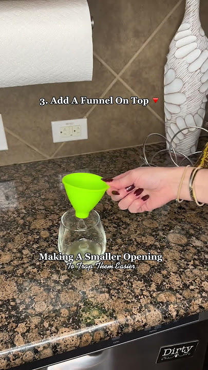 How To Get Rid Of Fruit Flies Quickly!