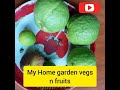 fruits n vegs in my home garden